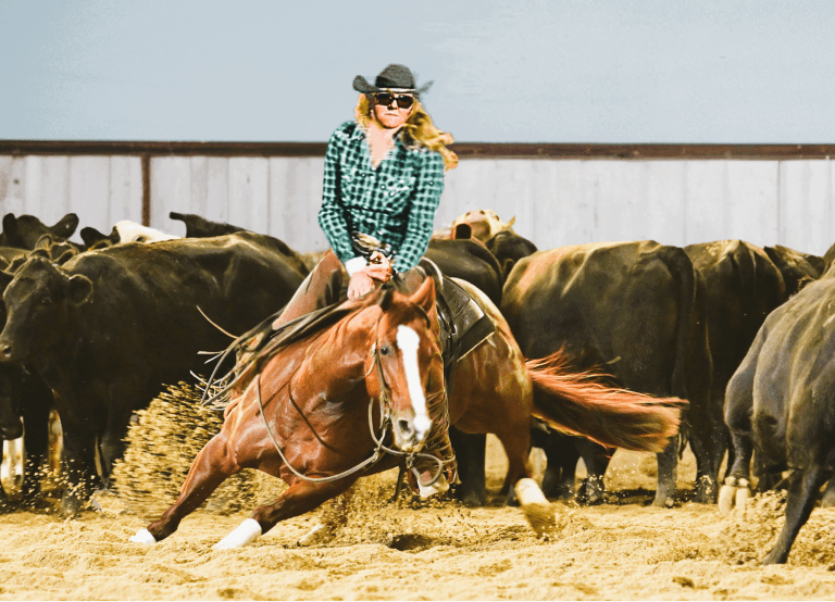 Shay Taggert and her cutting horse